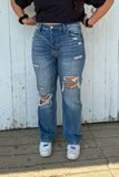 Reign Distressed Denim