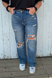 Reign Distressed Denim