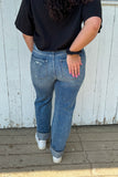 Reign Distressed Denim